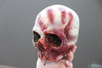 Horror Skull with Bloody Hand Print