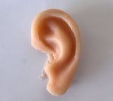 Unpainted Ear Prop
