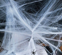 Spiders Web Prop
